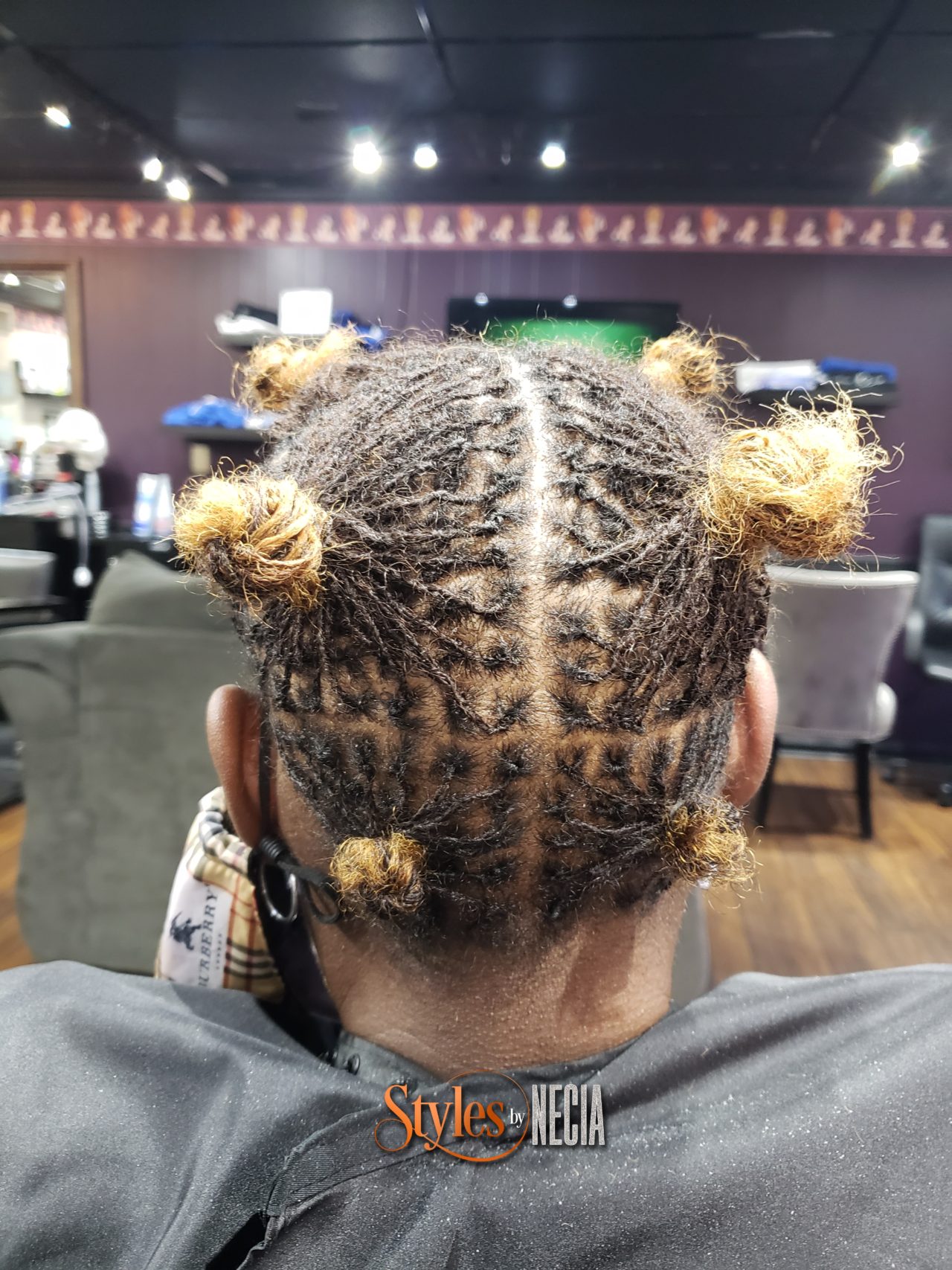 Microlocs Styles by Necia